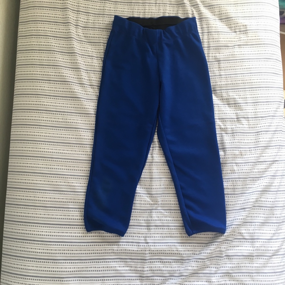 Blue Softball Pants 🥎